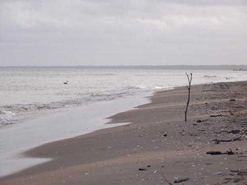 Romantische Strandmomente (100_0877.JPG) wird geladen. Eindrucksvolle Fotos aus Lettland erwarten Sie.